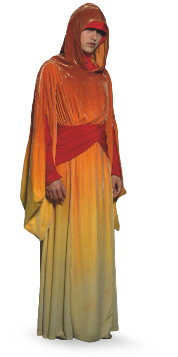 Naboo Royal Handmaidens appearance in Common Appearance