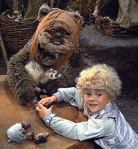 Wicket cindel