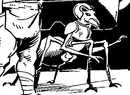 Arachnoid appearance 