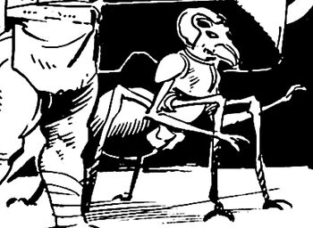Arachnoid-TSoK