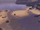 Falks Reach