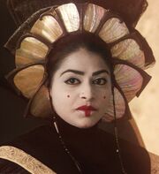 Jamillia-large.jpg