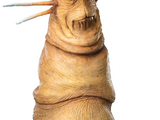 Klaud