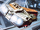 Wayfarer-class medium freighter