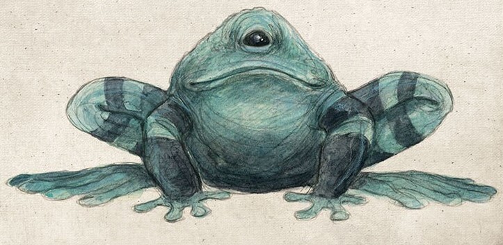 Arges frog appearance 