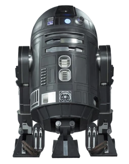 C2-B5 had gunmetal-based, black plating with matte black and silver accent panels.