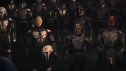 HoM-Mandalorians