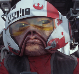 Nien Nunb