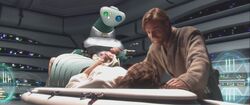 Luke Leia birth