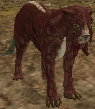 Gurrcat appearance 