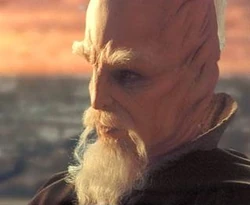 Ki-Adi-Mundi council