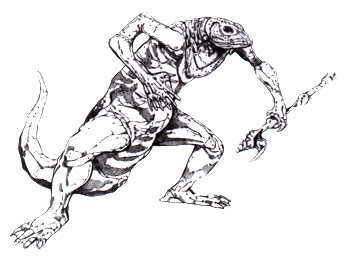 Sekct appearance 