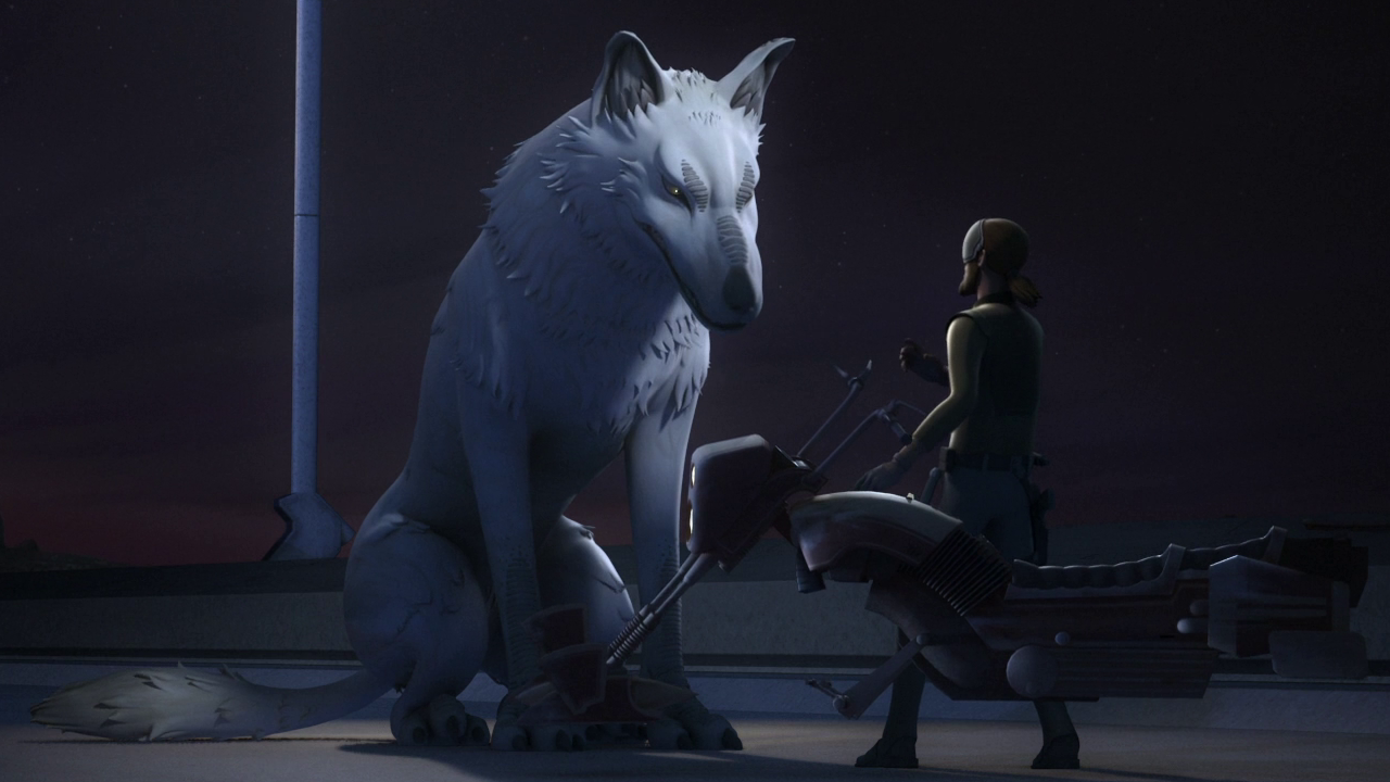 Kanan meets the white loth-wolf once again