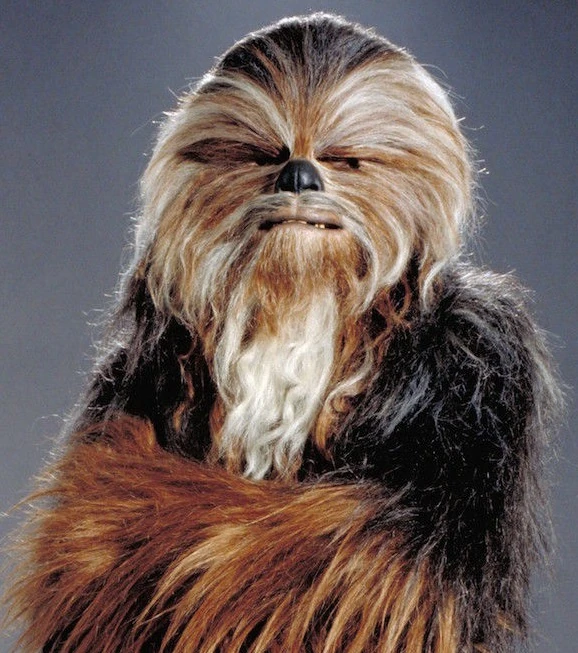 SF・ファンタジー・ホラー STAR WARS Yarua Yarua | Wookieepedia | Fandom