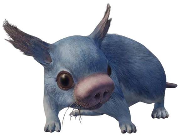 Nobaki rat appearance 