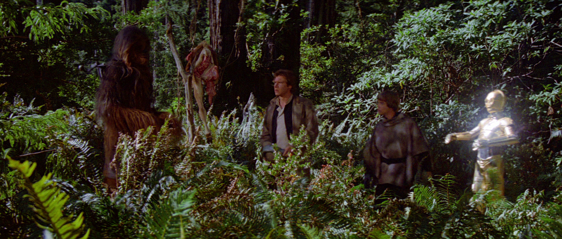 The heroes of the Rebel Alliance finding the caracass of a tusked creature