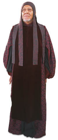 Pontifex Agolerga
