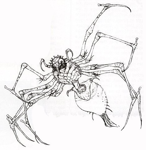 Purella appearance 