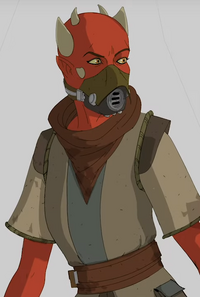 Amleto concept
