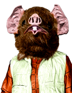 Kabe- SW Card Trader