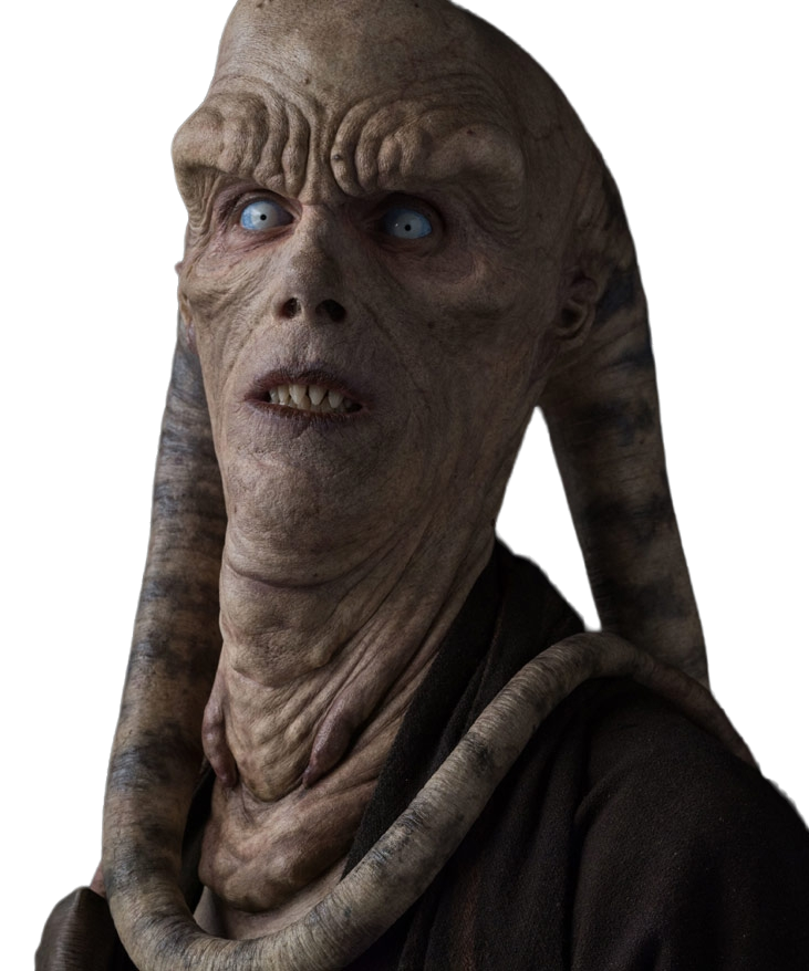 bib fortuna death