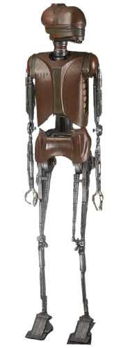EV-9D9-BYOR2D2-20