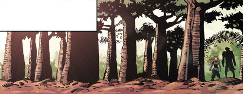 Stark Forests