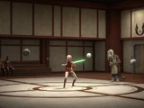 Jedi Temple dojo