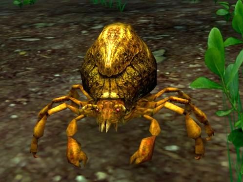 Tanc mite appearance 