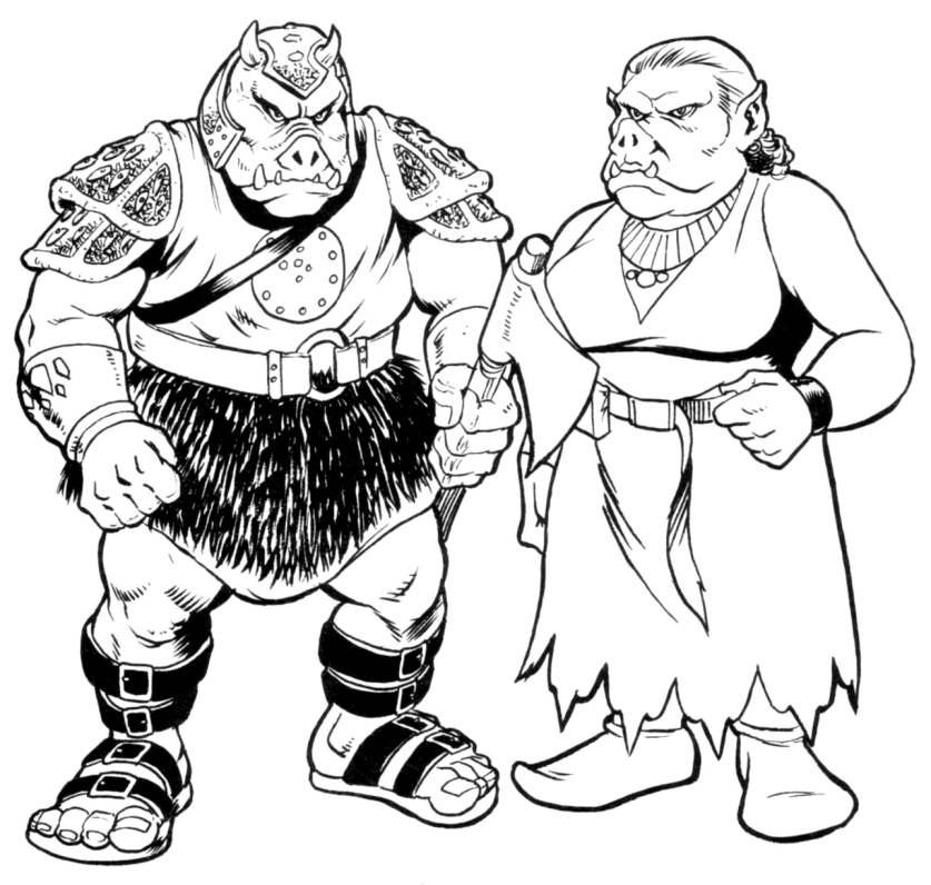 Boar (left) and Sow (right).