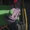 K-spline