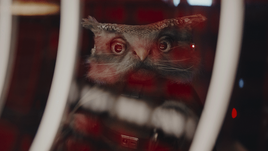 SC-VeryInteresting-Thumbnail
