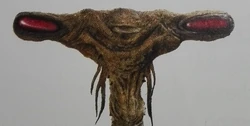 Hoofd van een Nightwatcher Worm