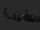 Project STORM Cannon.png