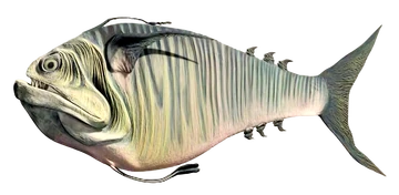 Doo_scalefish