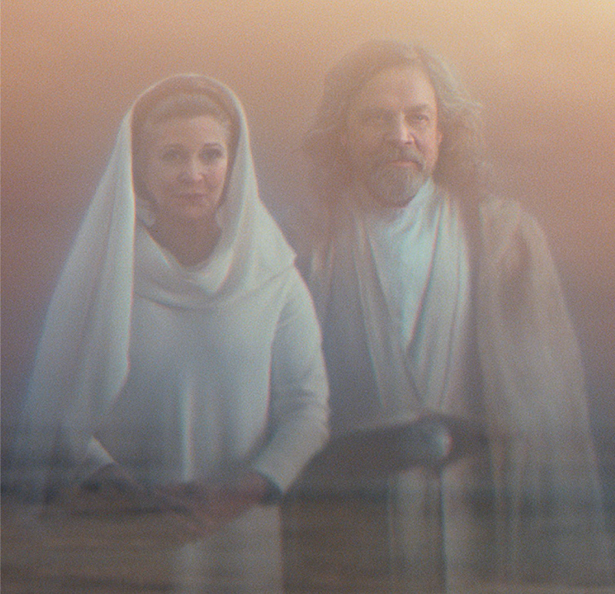 The Skywalkers were remembered as legends throughout the galaxy.