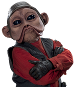 Nien Nunb