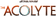 The Acolyte logo Celebration
