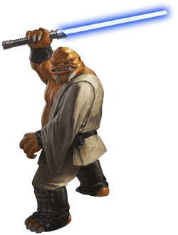 A Dowutin Jedi