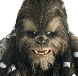 Kingma portrayed  the .