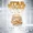 Star Wars: A New Hope (unabridged audiobook)