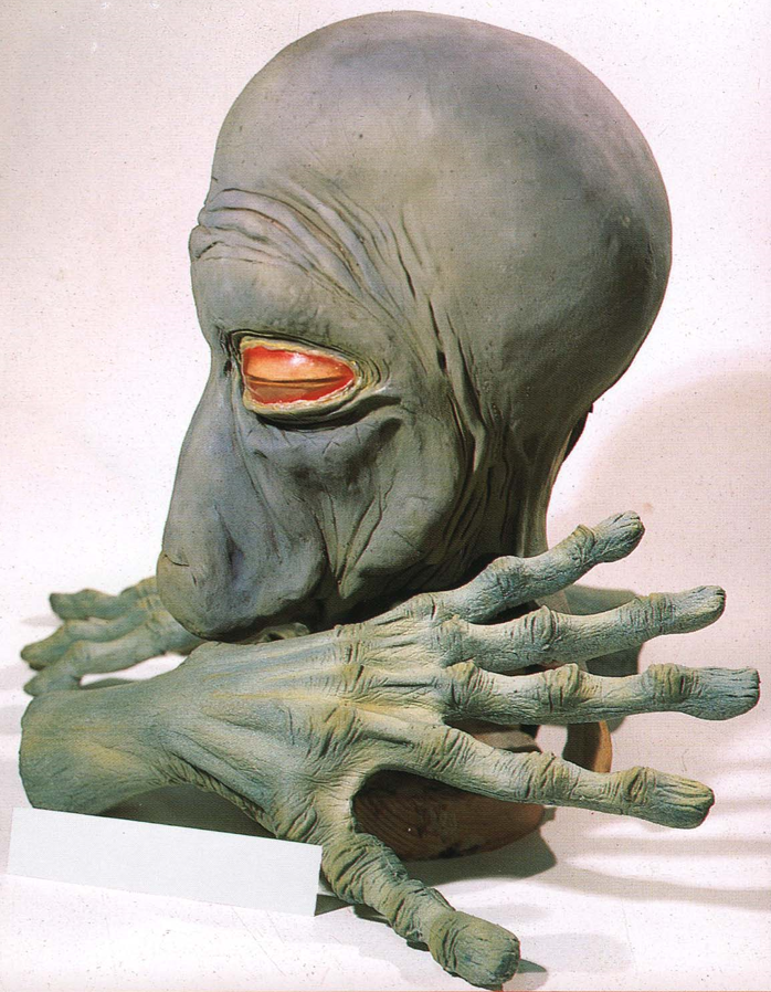 Chachi De Maal's costume included a slip-on mask and alien gloves.