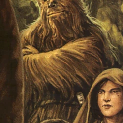 カテゴリ ニュー ジェダイ オーダーのジェダイ ナイト Wookieepedia Fandom