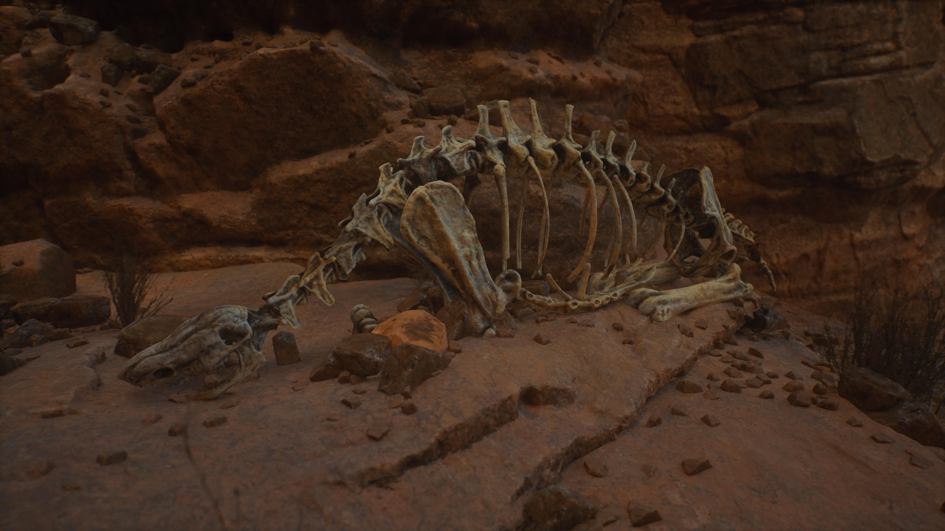 Skeletal remains of a spamel