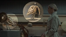 Gungan skull