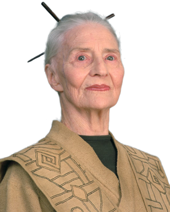 Darth Sidious feared the repository of knowledge kept by the Jedi Chief Librarian Jocasta Nu could be used against him.