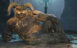 くつろぐマイア・テラー