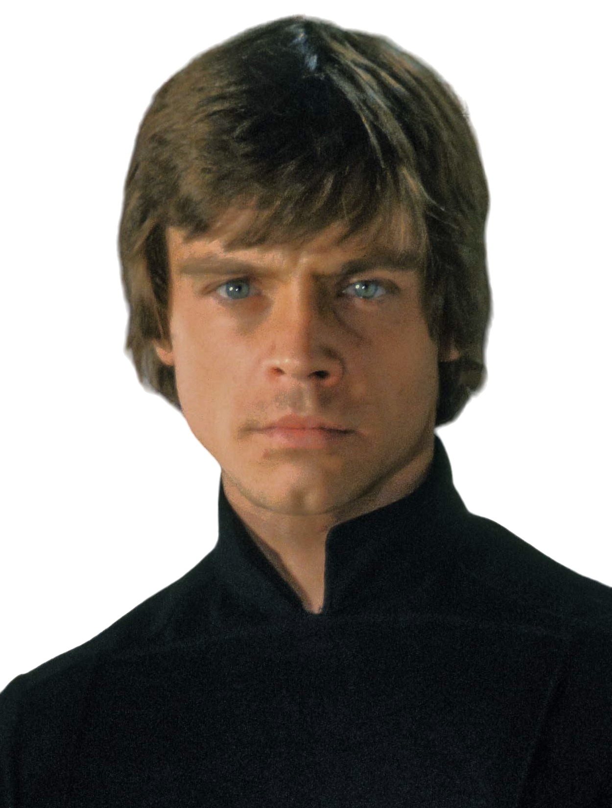 Luke Skywalker, Wookieepedia