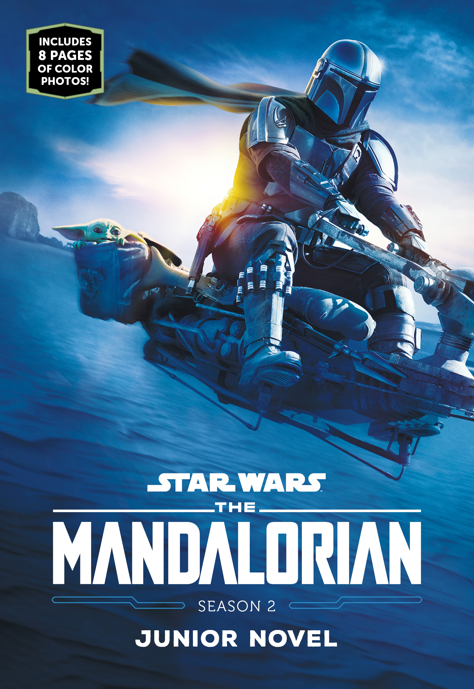 The Mandalorian Season 2 Junior Novel appearance in Common Appearance