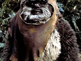 Galerij van Ewoks